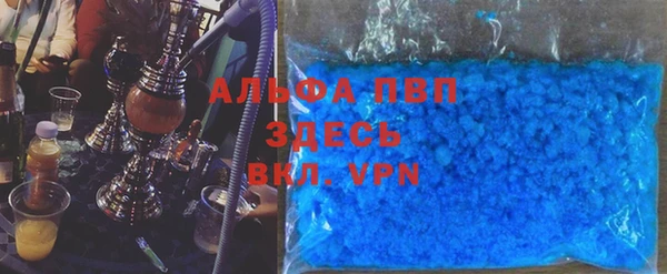 гидра Алексин