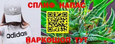 apvp Нальчик