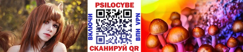 Псилоцибиновые грибы MAGIC MUSHROOMS  даркнет сайт  Шадринск 