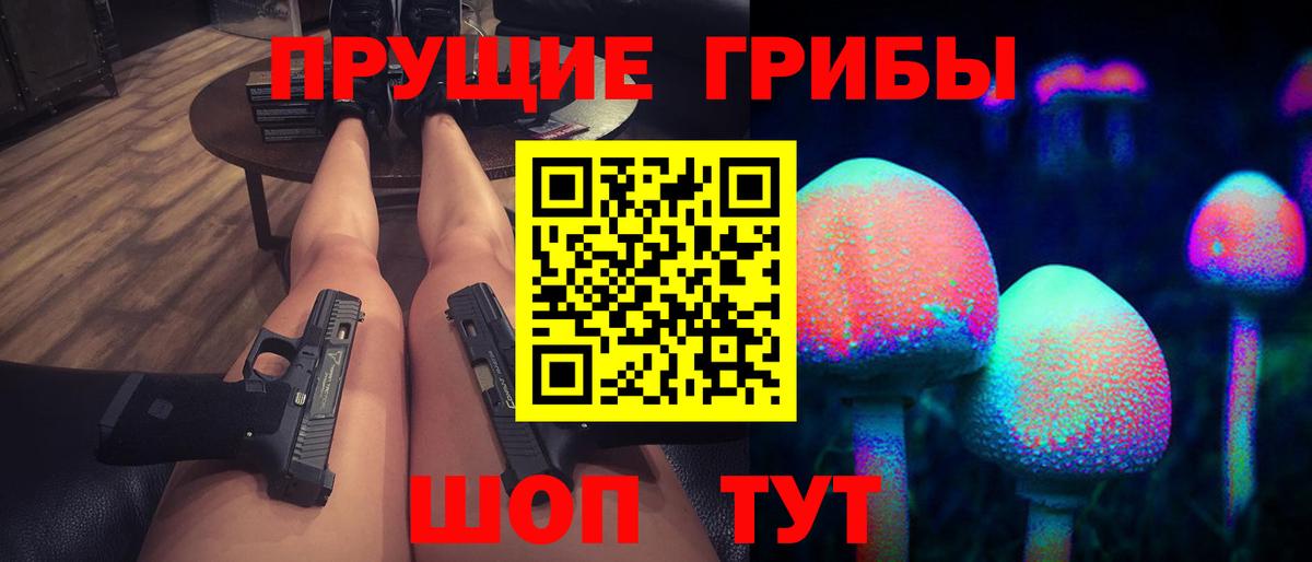 Псилоцибиновые грибы Cubensis Шадринск